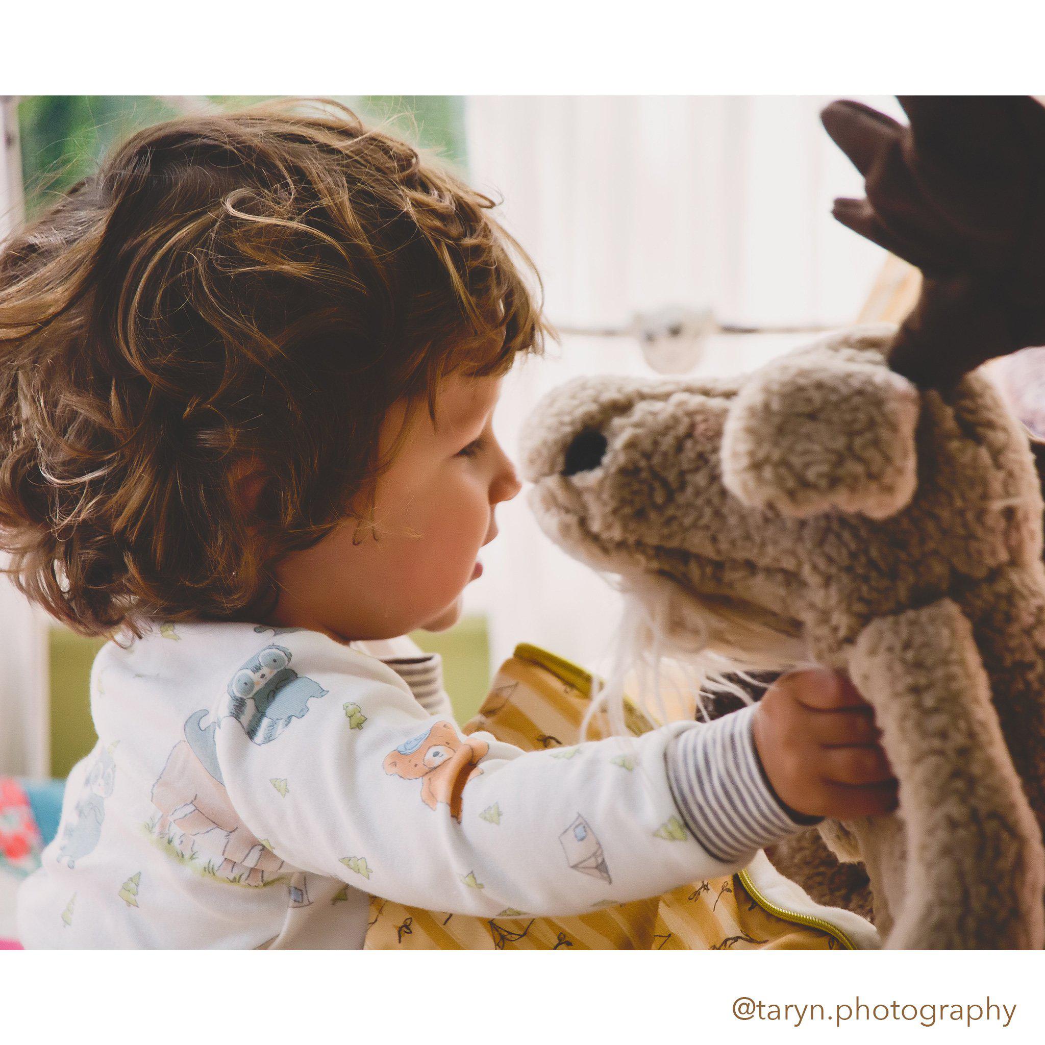 RETIRED - Bruce the Moose Saves The Day! Gift Set、mySite、g9winljtr