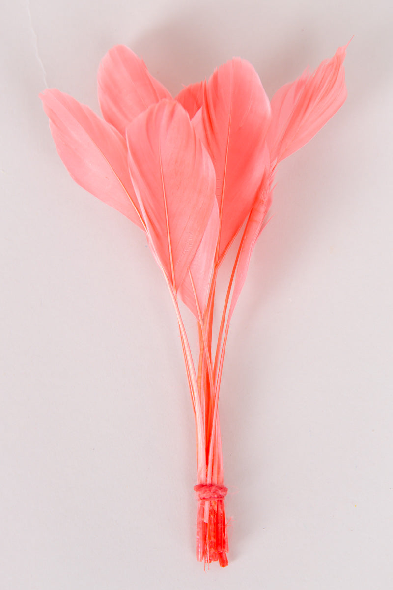 Stripped Coque Feathers Bundle of 8- Red Rubber Band、mySite、hinf8tx79