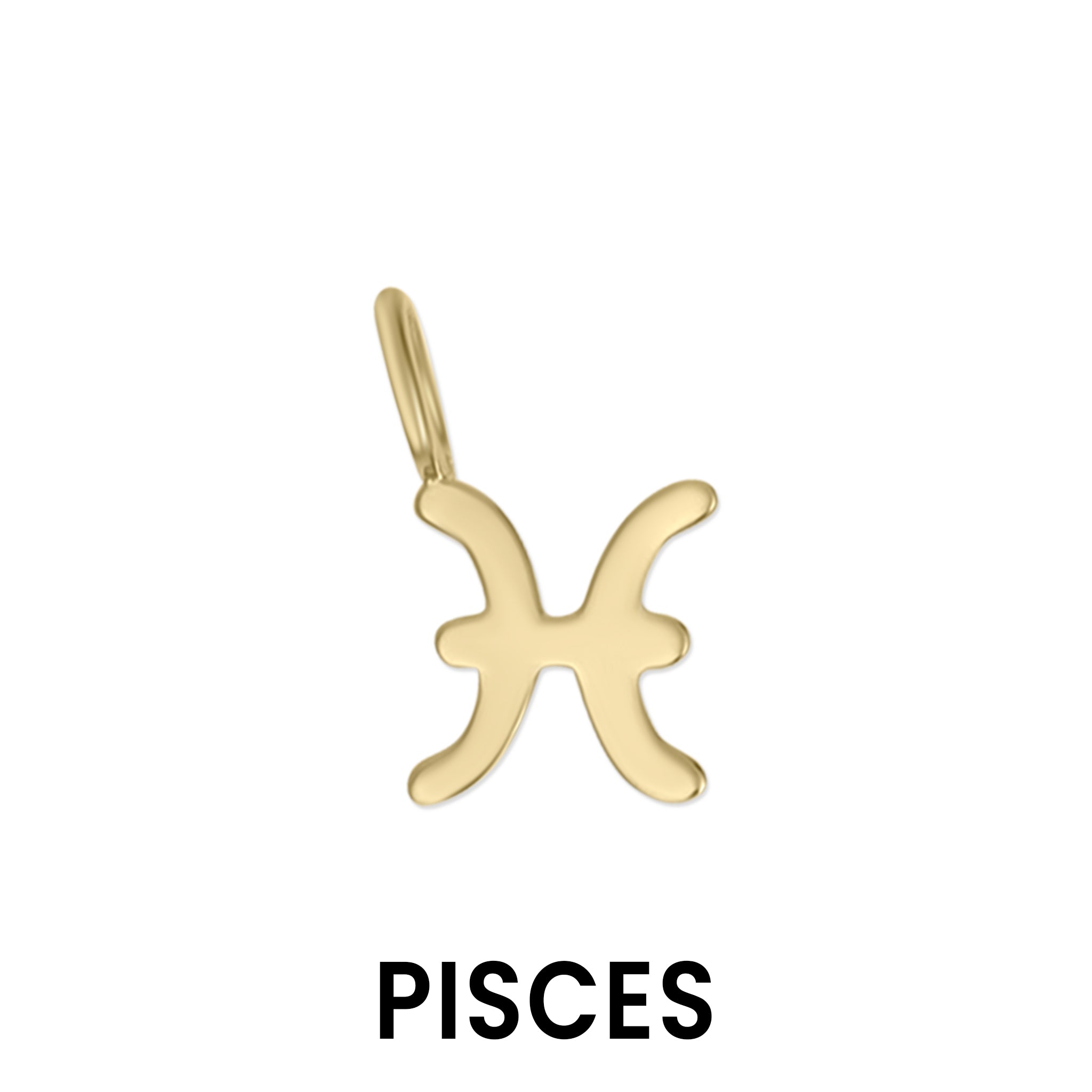 Permanent Jewelry 14K Solid Gold Zodiac Charms / PMJ1017、mySite、dreamappss