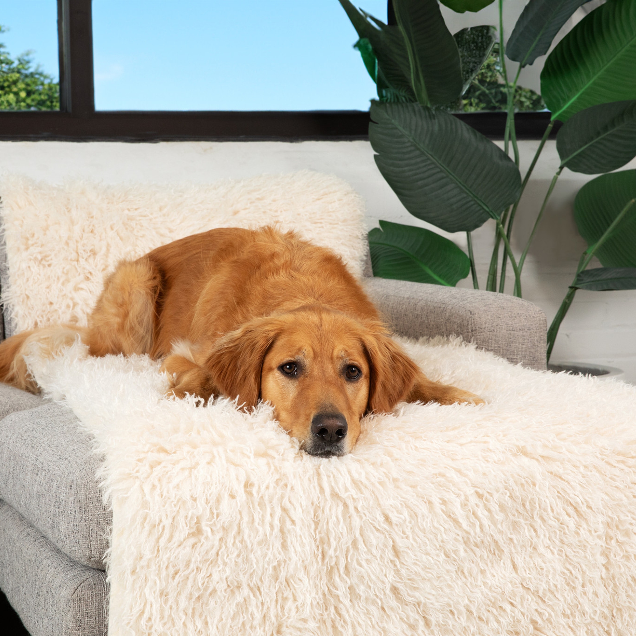 PupProtector™ Luxe Waterproof Bed Runner - Plush Sheep Ivory、mySite、solidvoid