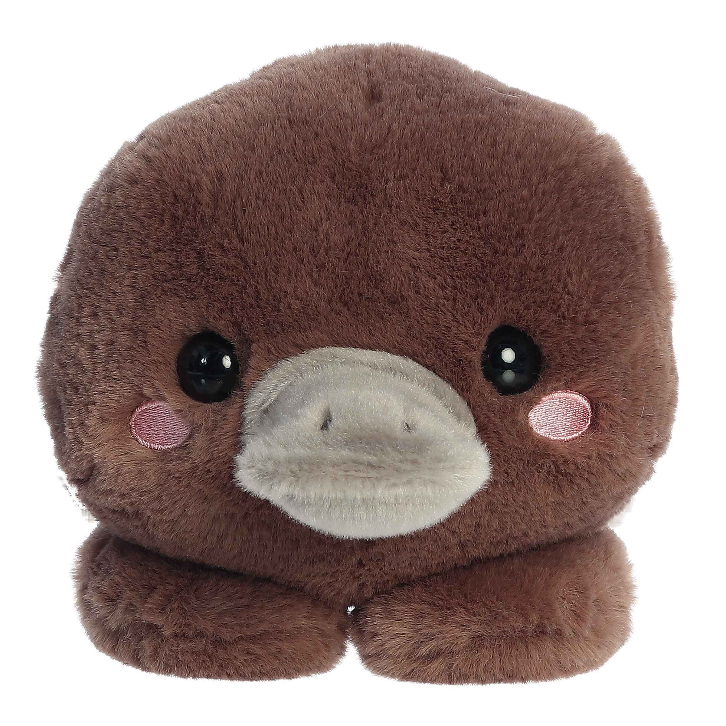 Aurora® - Too Cute™ - 9 Pimmy Platypus™、mySite、g9winljtr