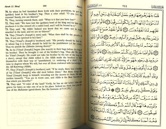 The Noble Quran Translation in Roman Script、mySite、topwebapps