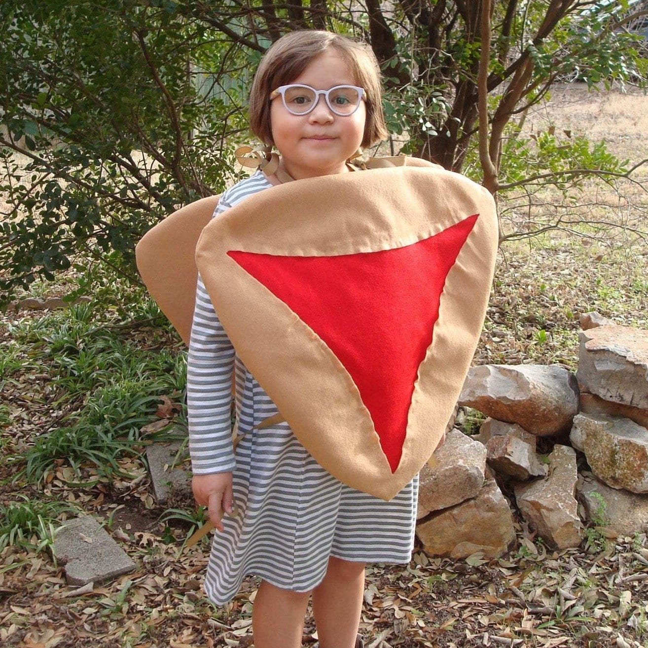 Hamantaschen Costume - Baby, Kids and Adult Sizes、mySite、topwebapps