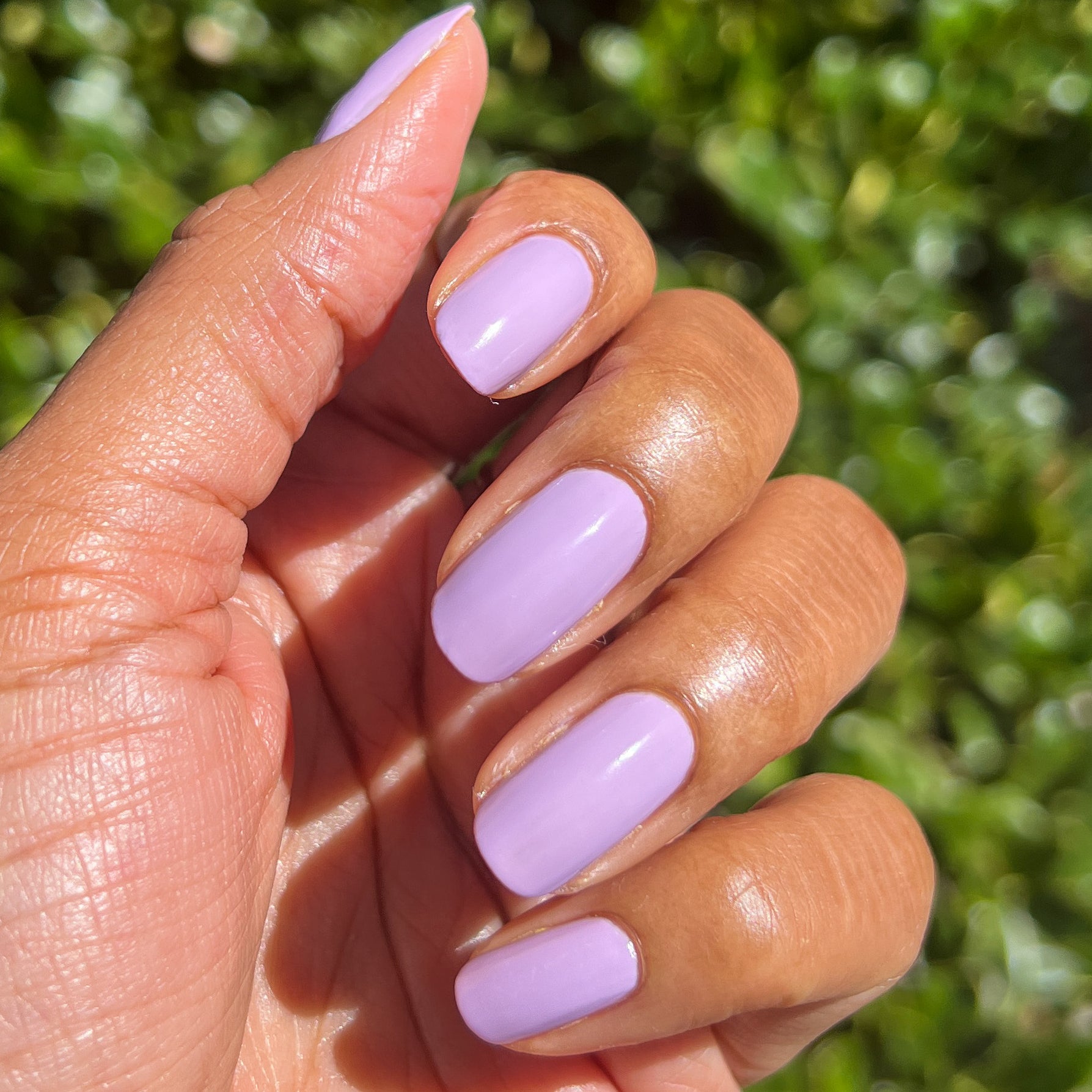 You're Invited、mySite、solidvoid