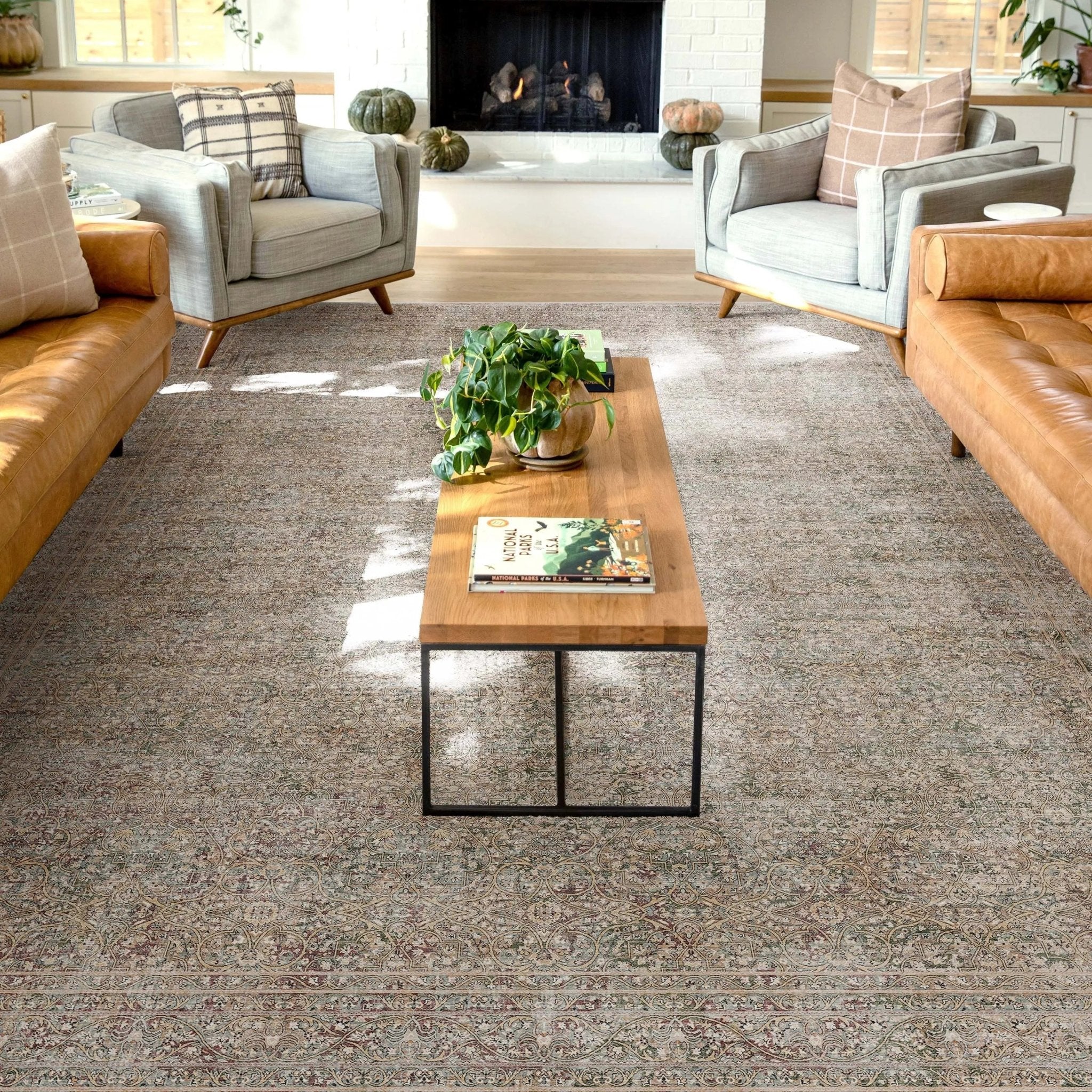 Juliette Vintage Persian Oriental Beige Flat-Weave Rug、mySite、gigharbornorthrealestate