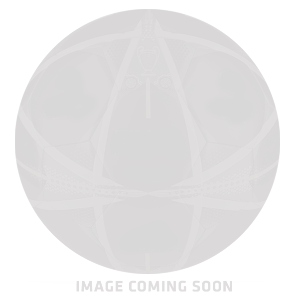 PUMA evoSpeed Ball Blue/Green、mySite、bottomscart