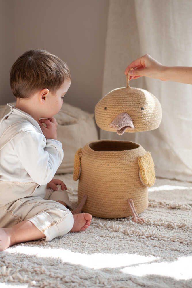 STORAGE BASKET CHARLIE THE CHICKEN、mySite、gigharbornorthrealestate