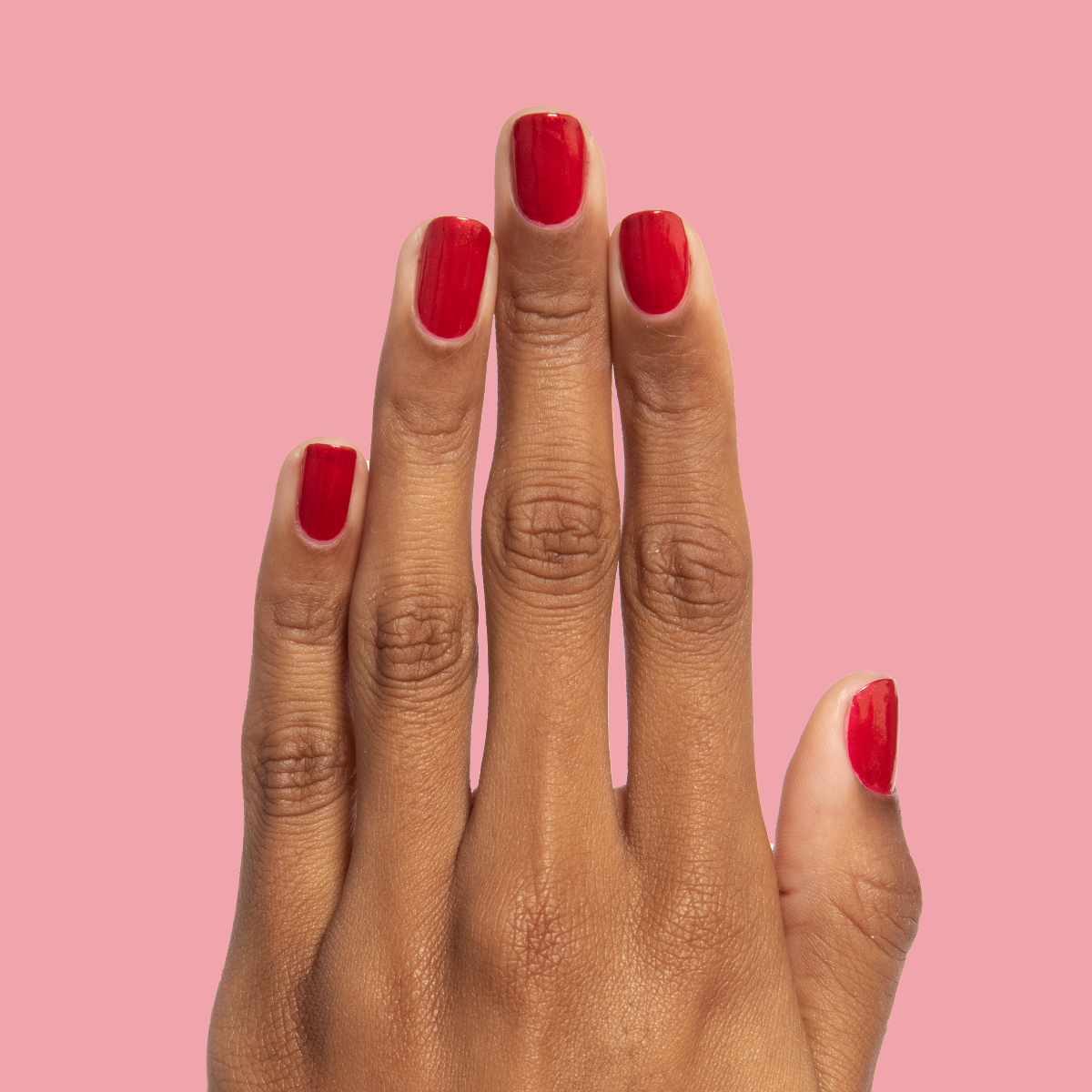 Lippy、mySite、solidvoid