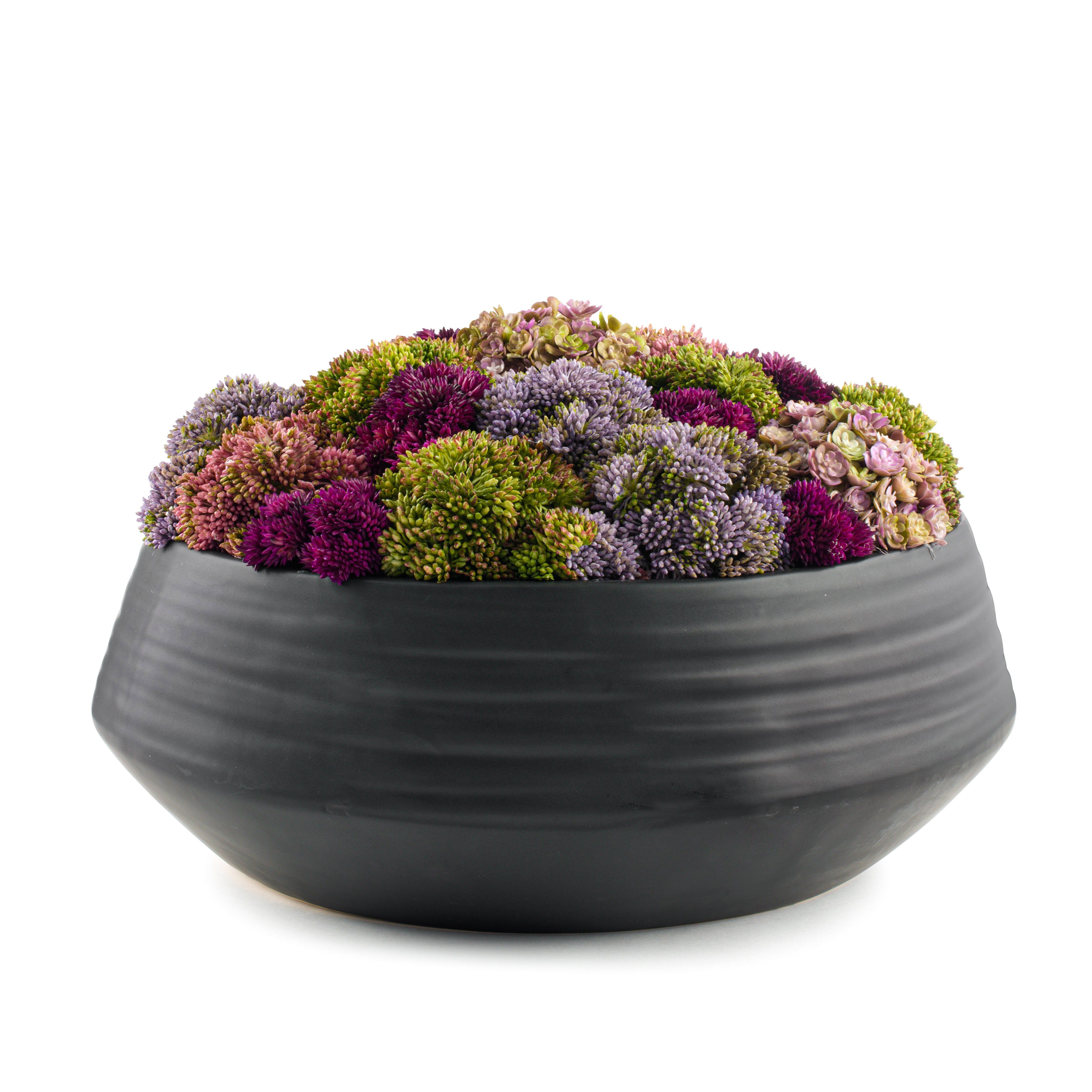  DH Floral Black Ceramic Pot、mySite、elrpsem3k