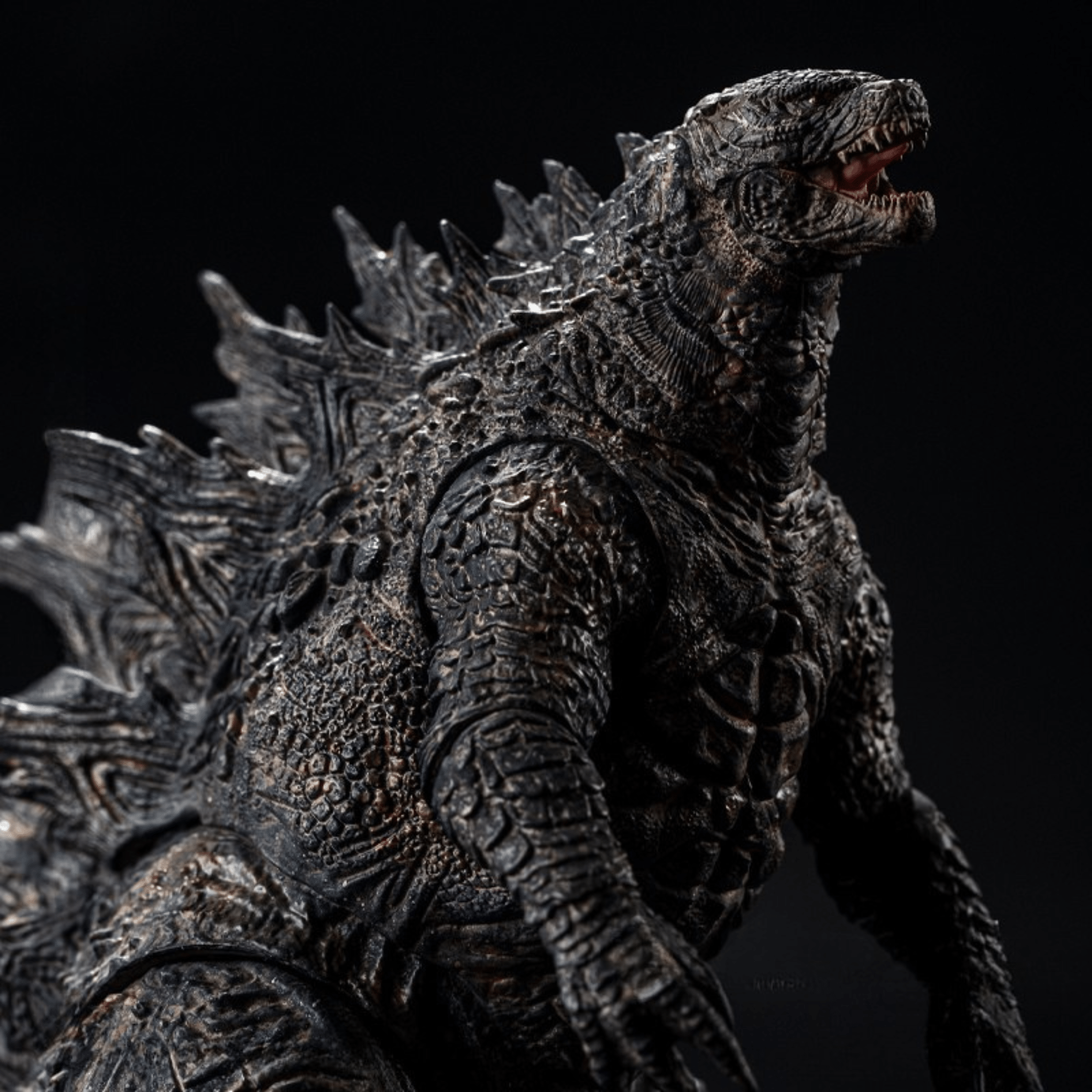 Hiya Exquisite Basic Series Godzilla: King of the Monsters Godzilla (PX Previews Exclusive)、mySite、hgirdovlk