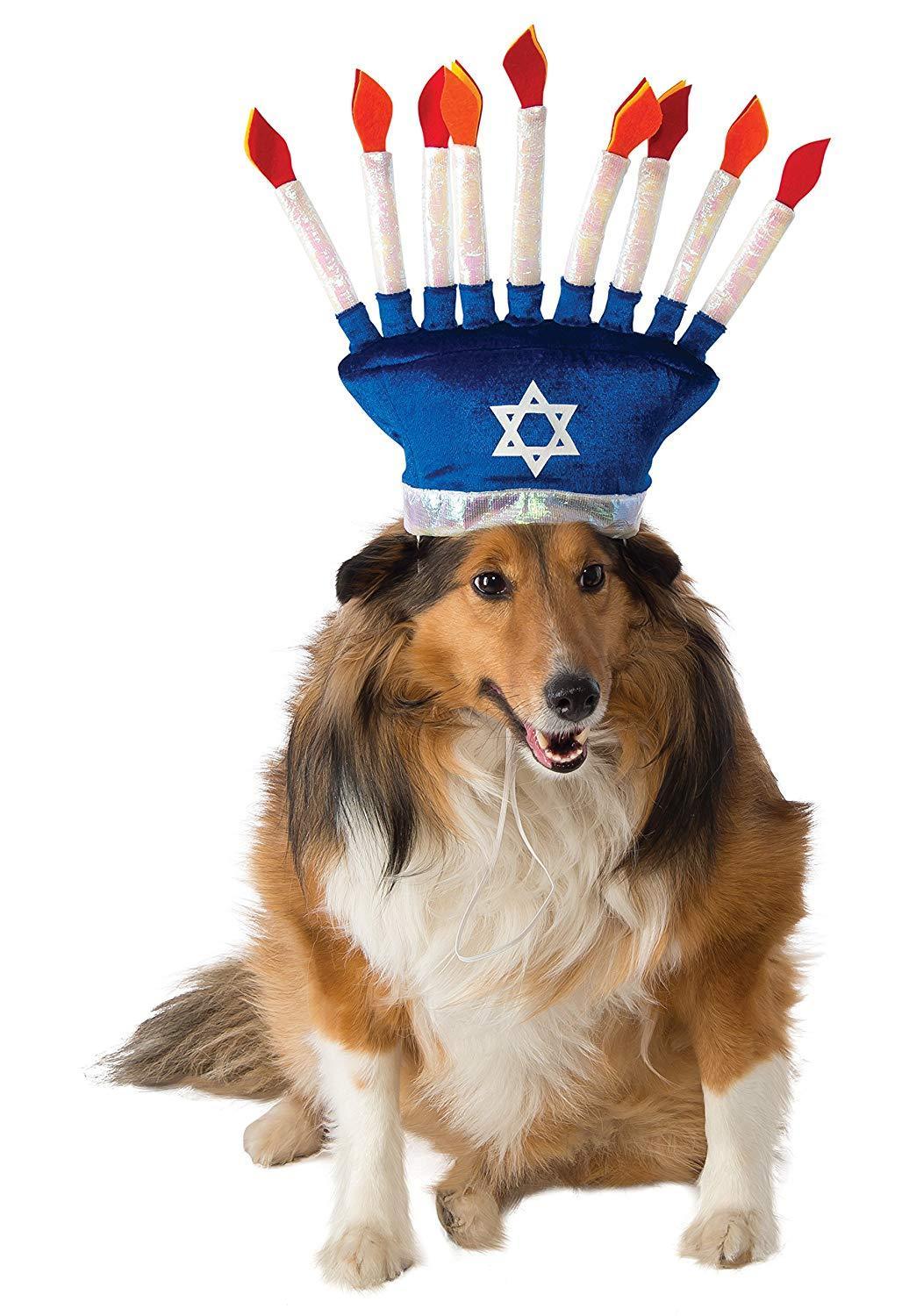 Pet Menorah Hat、mySite、topwebapps