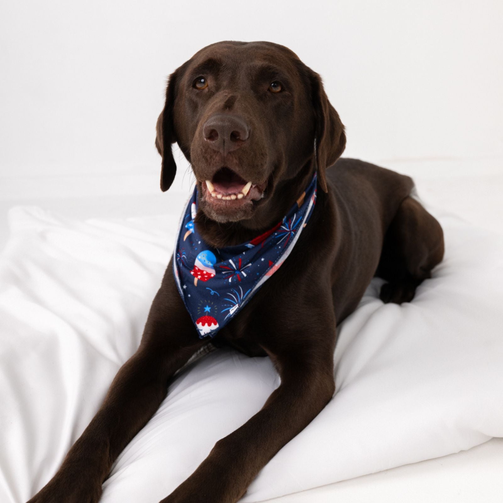  Snacks & Sparkles Pet Bandana、mySite、layawaytickets