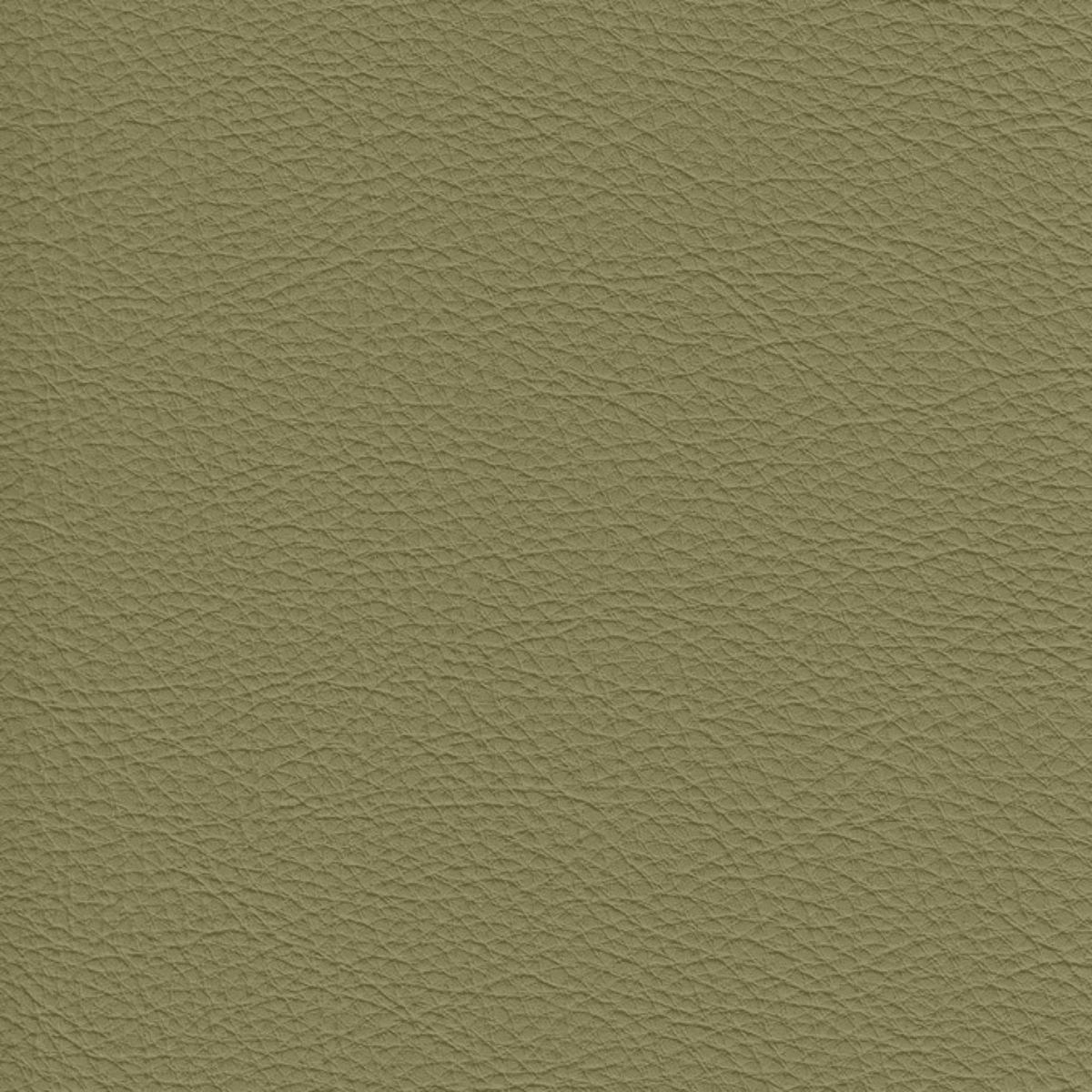 Grade A: Matera MR696、mySite、neckold