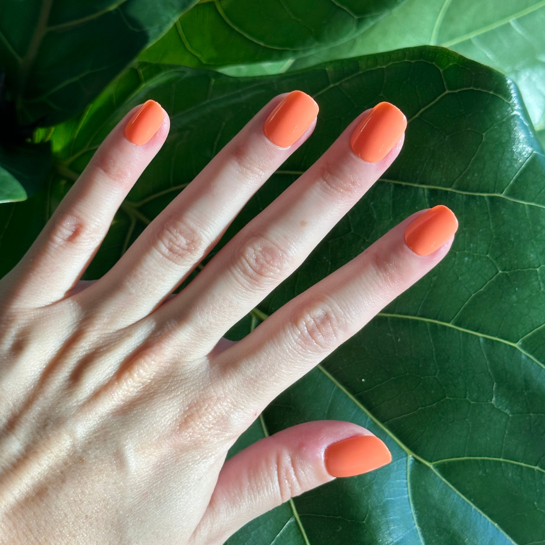 Lobster | Extra Short | Squoval - Tab Press-On、mySite、solidvoid