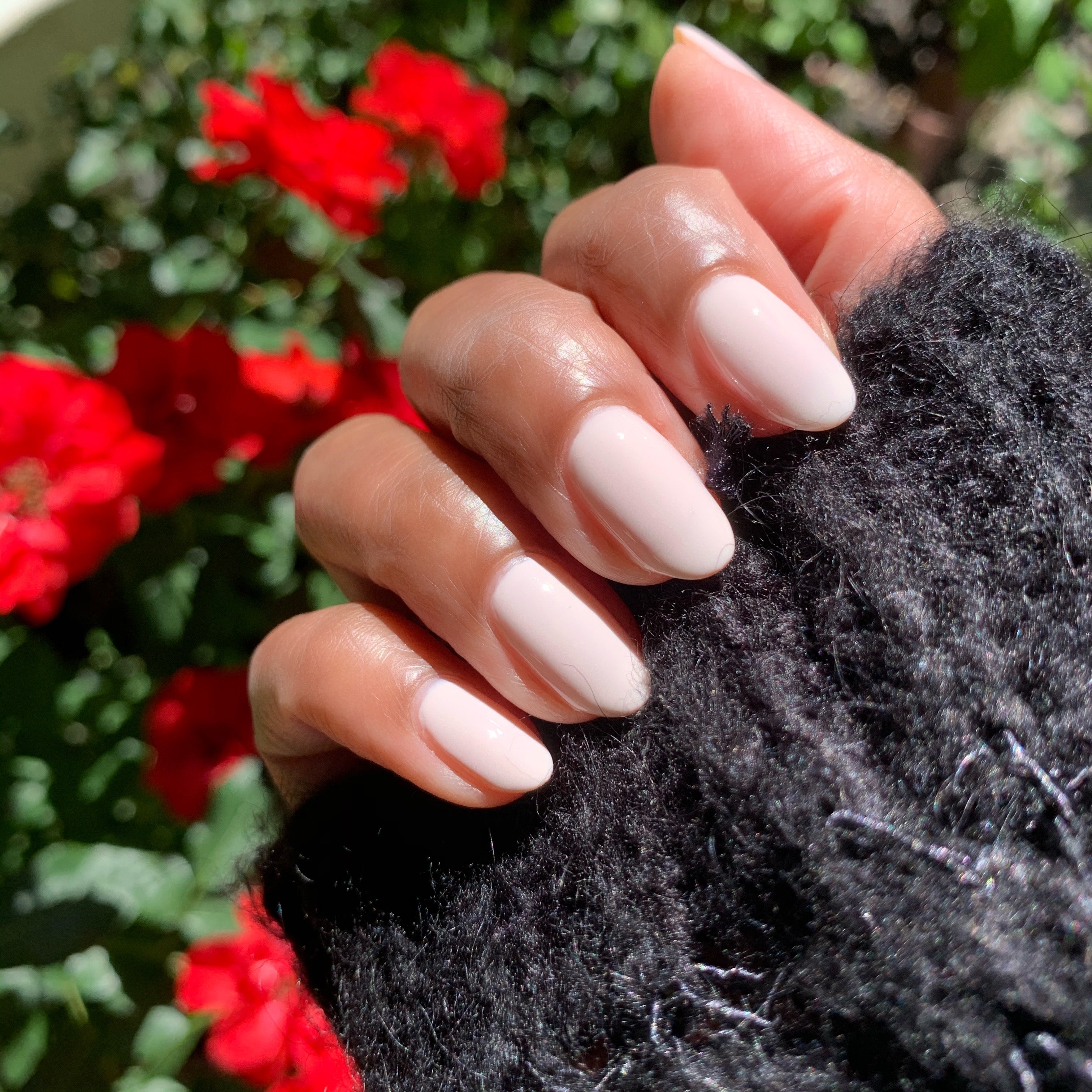 HGC、mySite、solidvoid