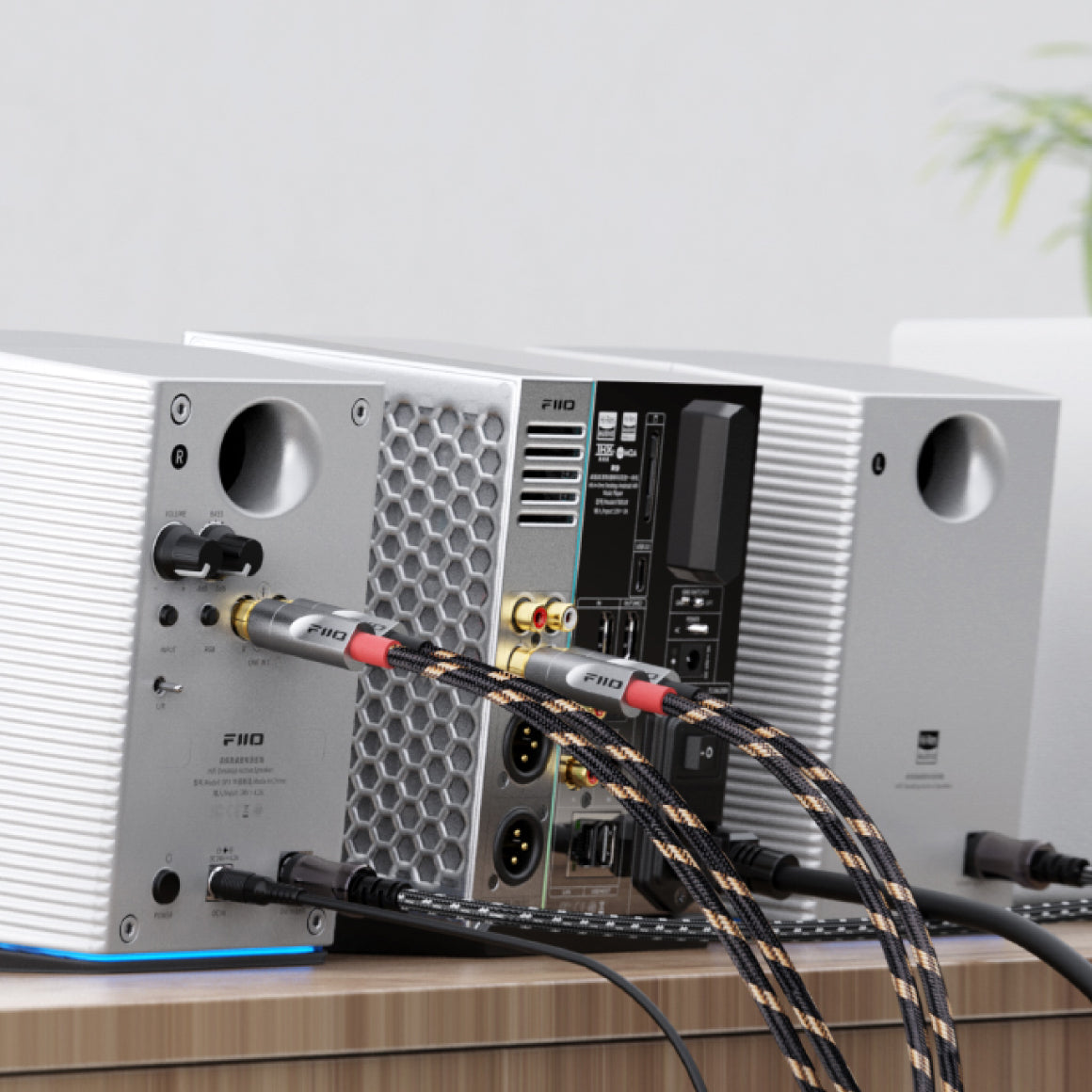  FiiO - LR-RCA4、mySite、merchandisen