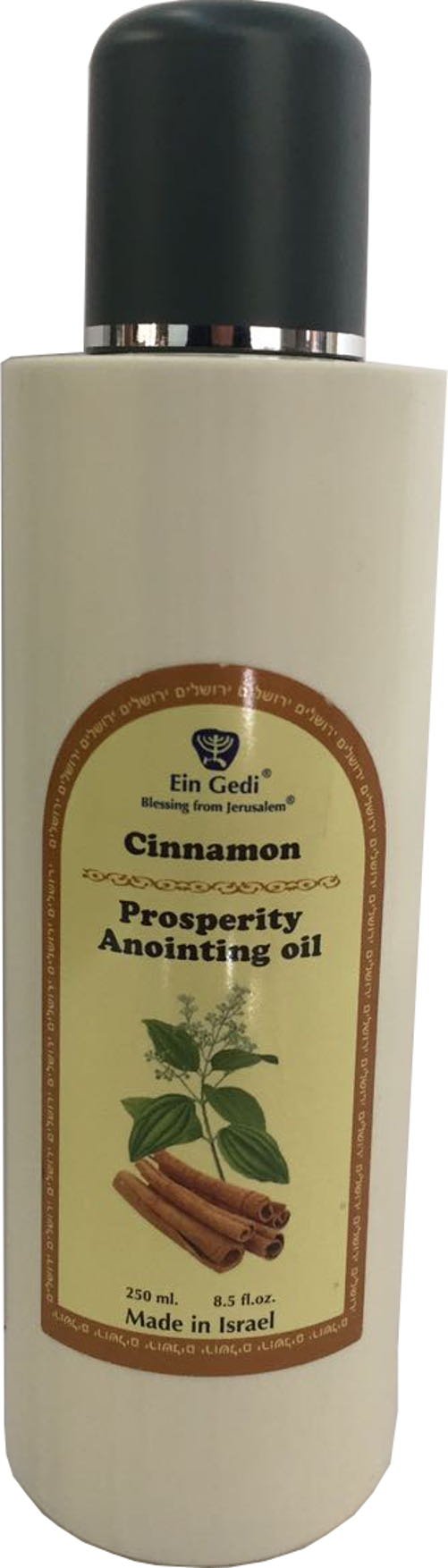 Cinnamon anointing Oil from Ein Gedi large size - Anointing oil - 250 ml ( 8.5 fl. oz. )、mySite、topwebapps