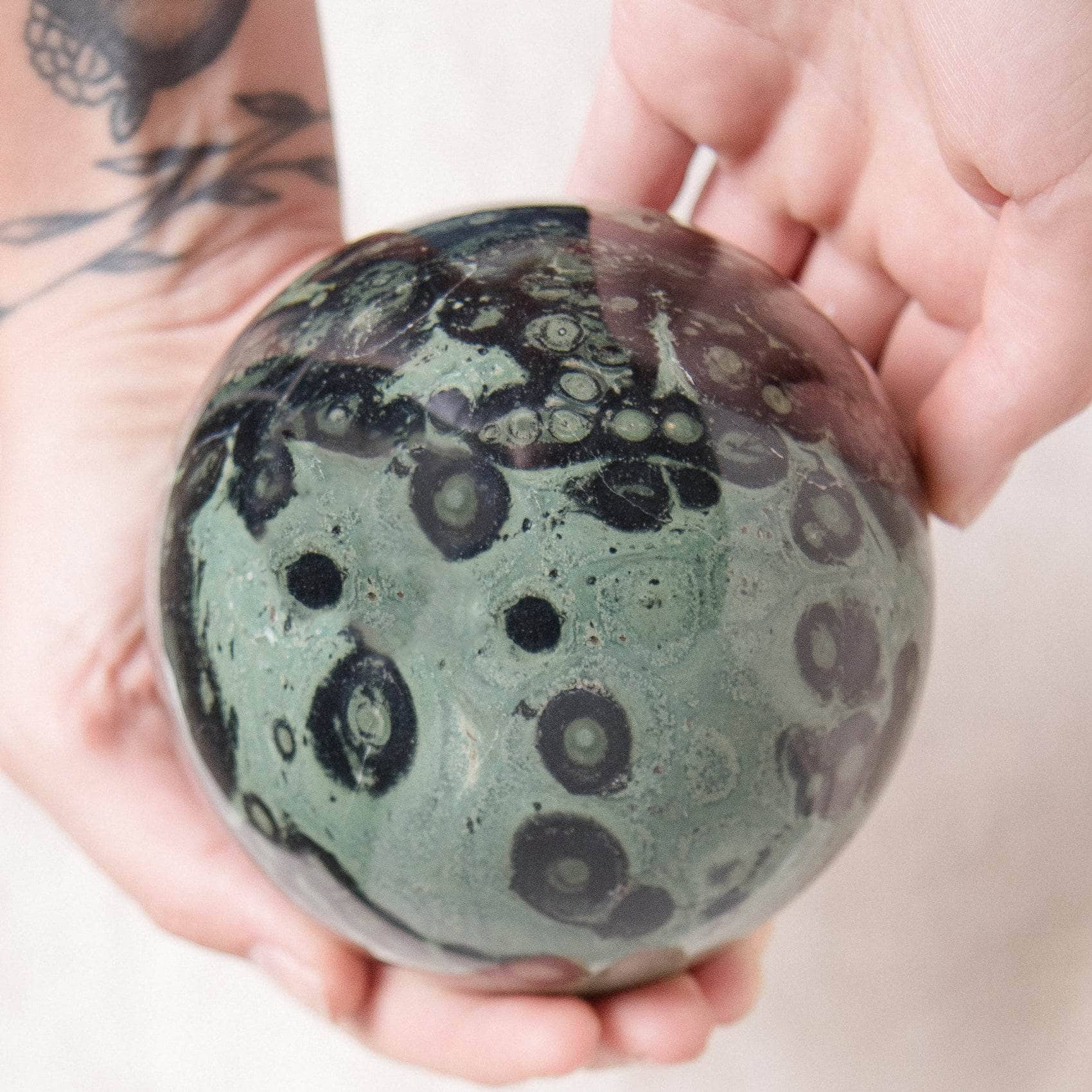 Kambaba Jasper Sphere - AAA Premium Quality、mySite、hinf8tx79