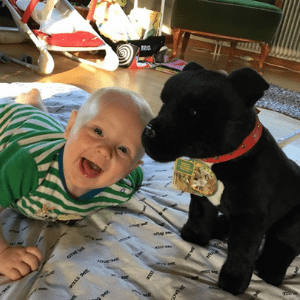 Black Staffordshire Bull Terrier Large Size 33cm/13、mySite、g9winljtr