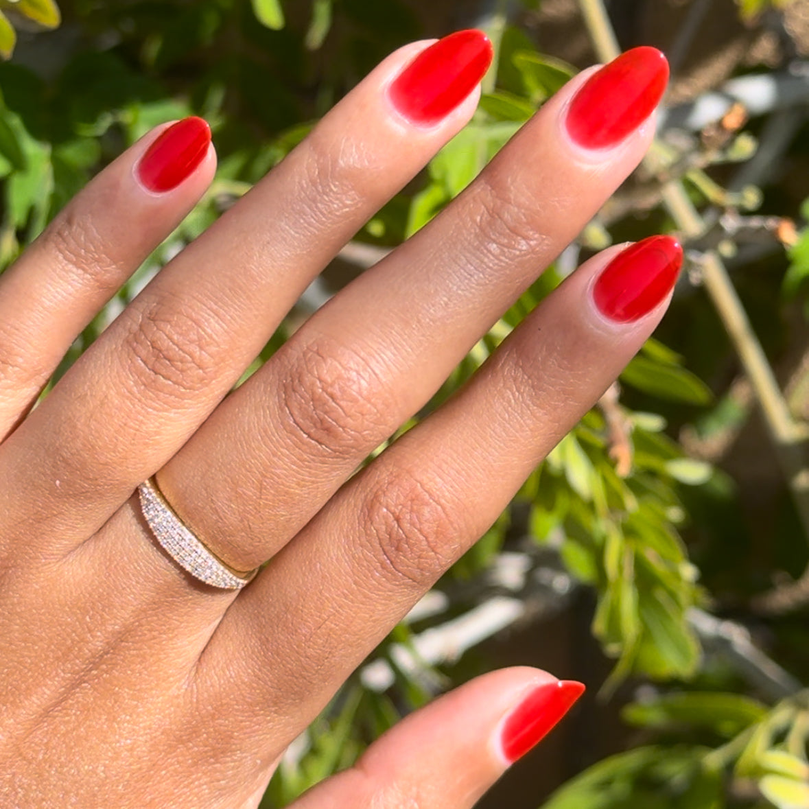 Candy Dipped、mySite、solidvoid