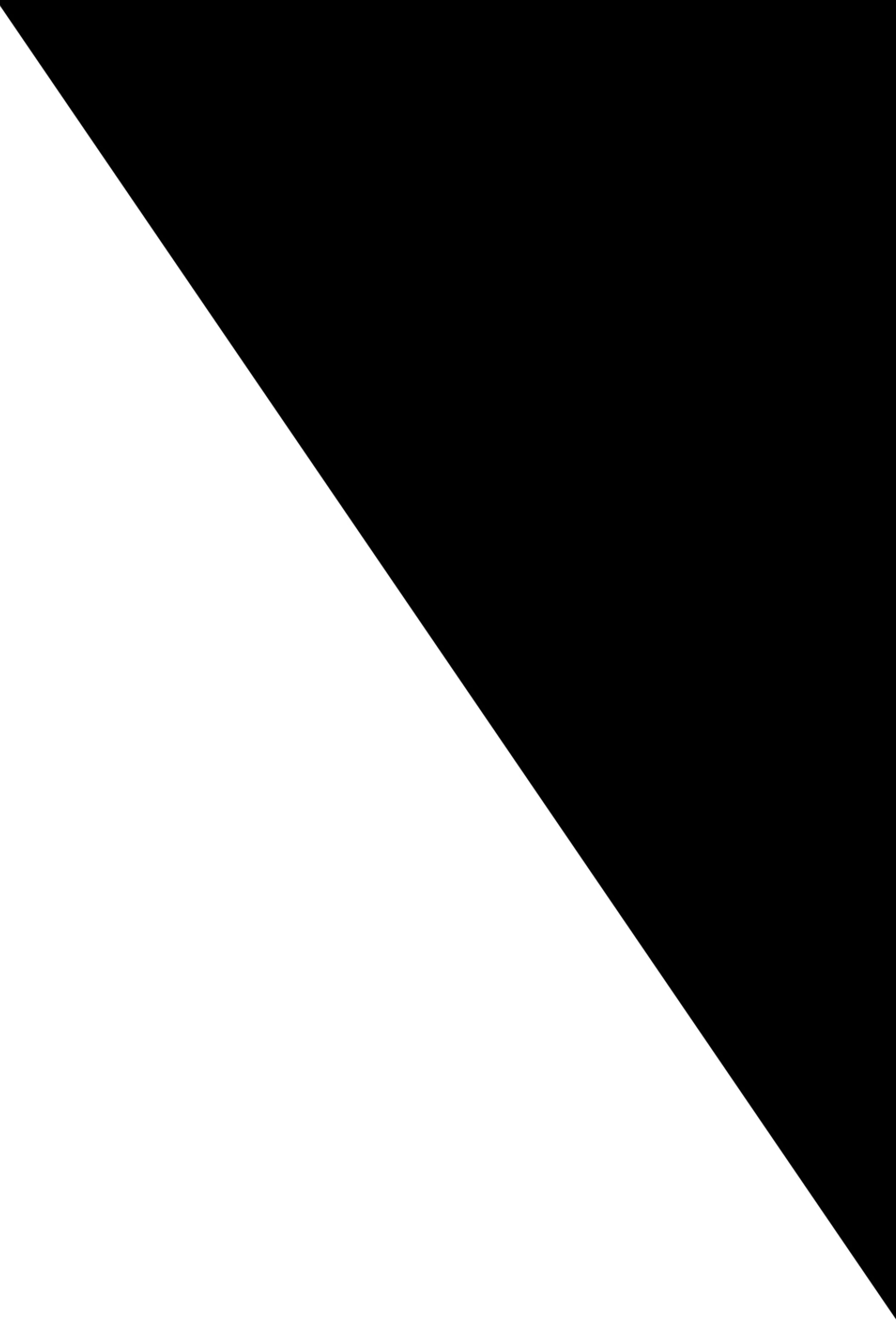 Little Girls Cute Smart and A Little Bit Dramatic Tee with Skirt、mySite、camillekostekn