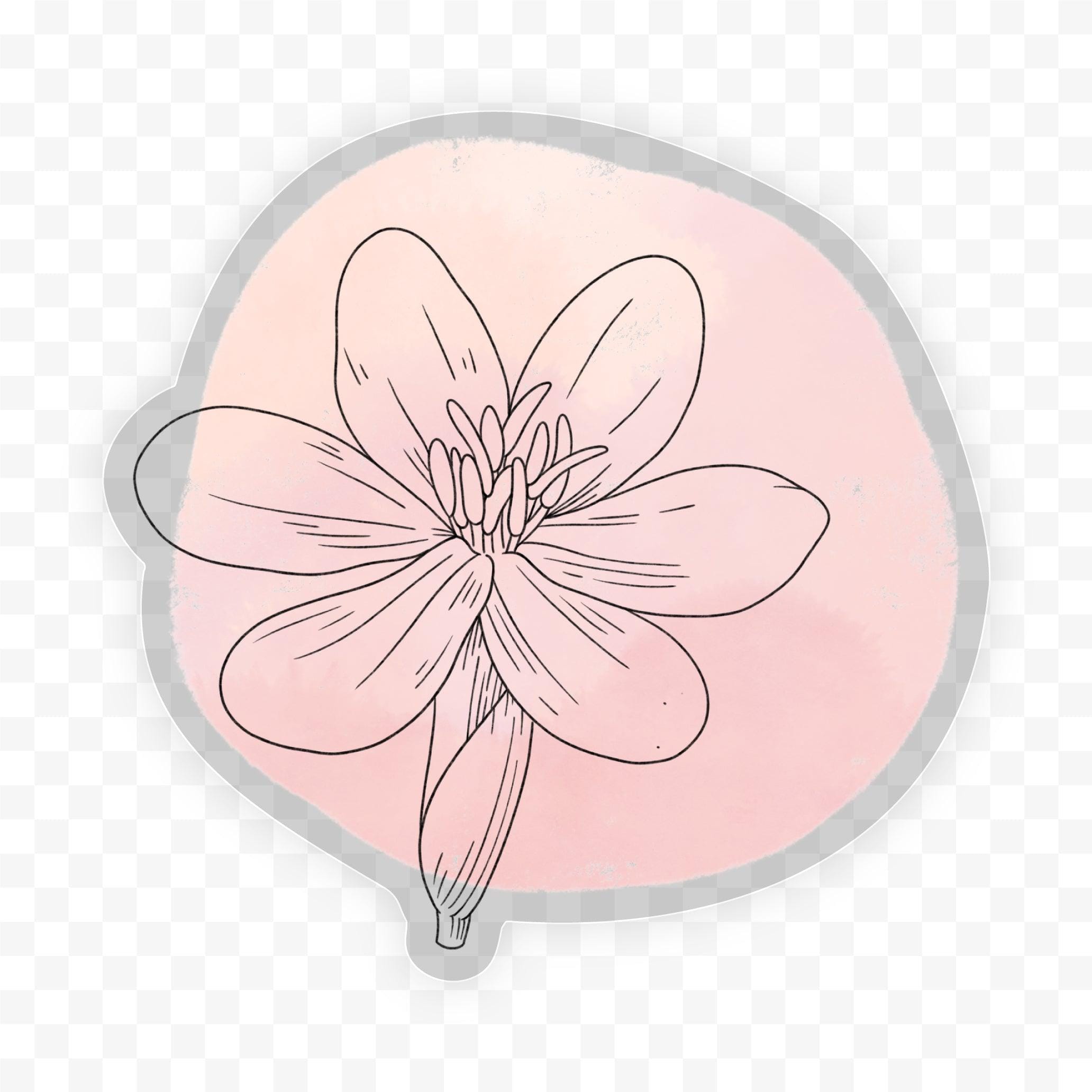  Eleutherine Bulbosa Abstract - Clear Sticker、mySite、ghnorth