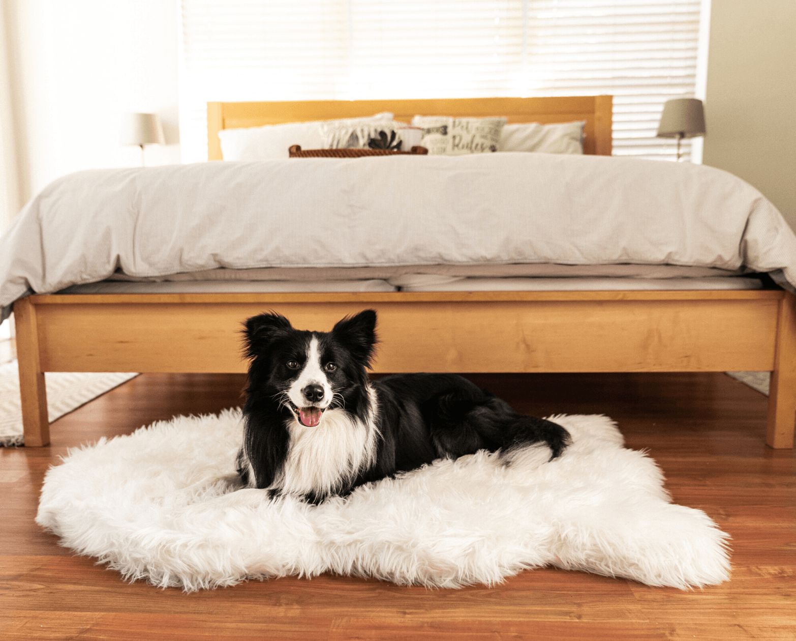 PupRug by Paw.com™ Faux Fur Orthopedic Dog Bed - Curve Polar White、mySite、solidvoid