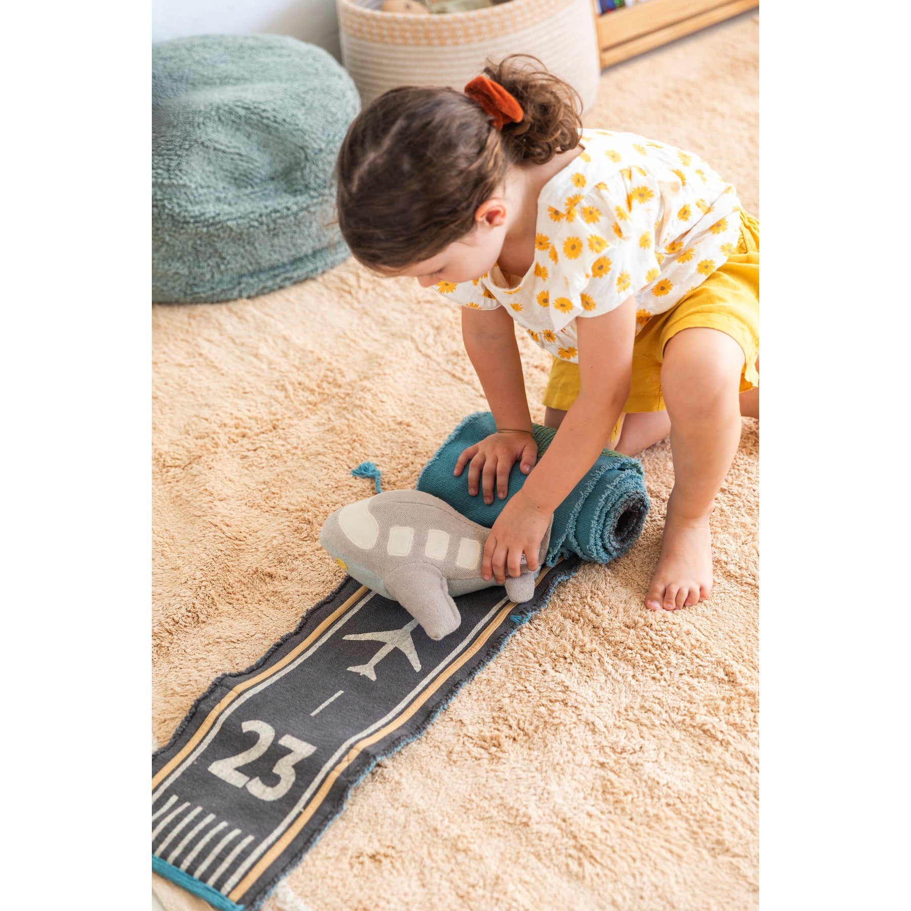 Ride & Roll Airplane、mySite、gigharbornorthrealestate