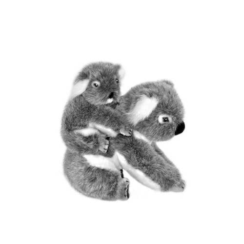 Koala With Her Baby on Her Back by Bocchetta、mySite、g9winljtr