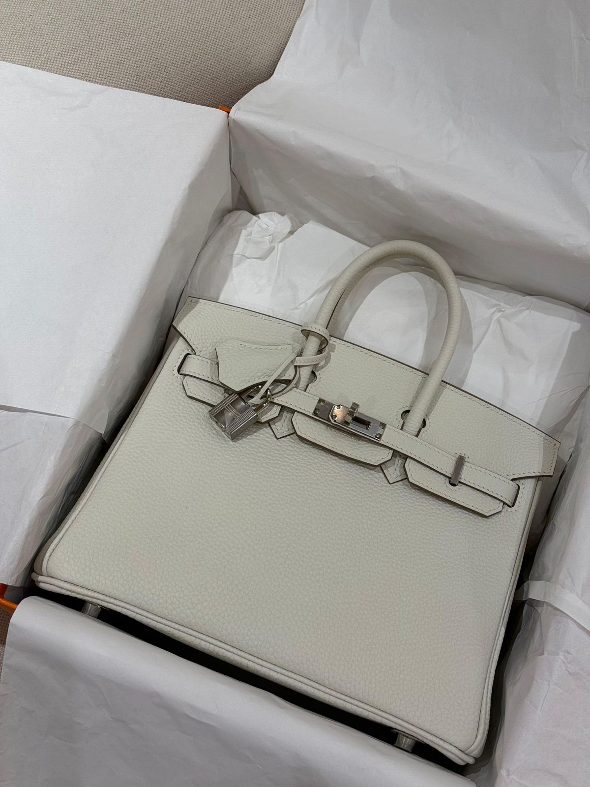 Hermes Birkin 25 Mushroom Togo PHW 2024 B stamp、mySite、garminoutage.com