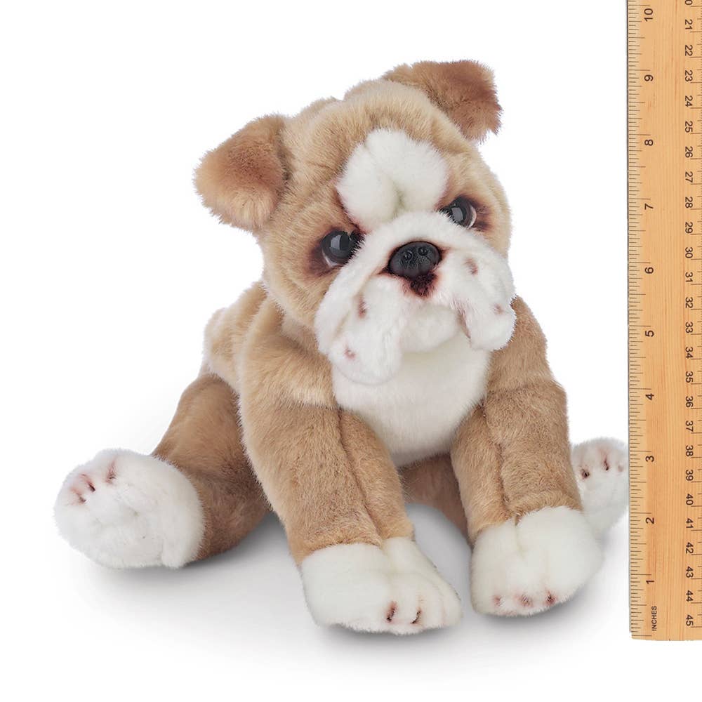 Plush Realistic Bulldog Puppy-Bearington Collection、mySite、g9winljtr