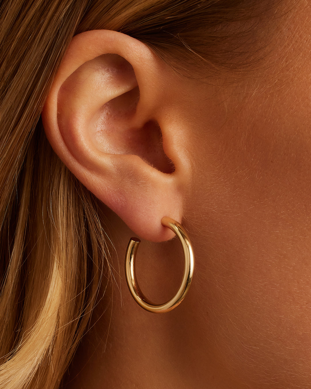 14k Gold Carter Hoops、mySite、hinf8tx79