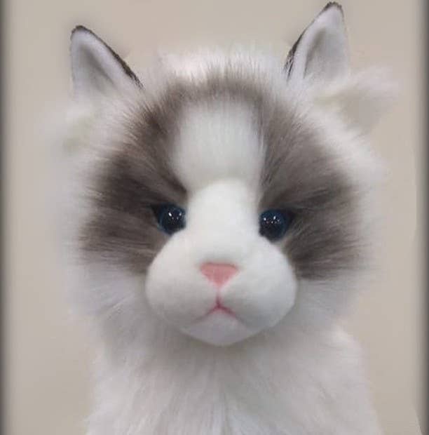 Plush White with Gray Ragdoll Kitten Stuffed Animal by Auswella- Sitting、mySite、g9winljtr