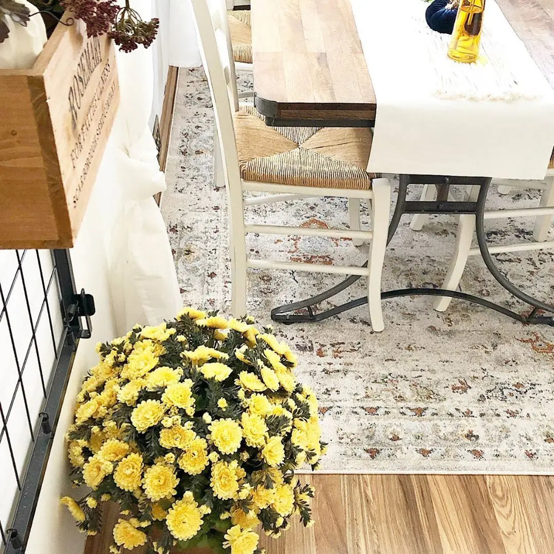 Kian Cream Vintage Panel Distressed Rug、mySite、gigharbornorthrealestate