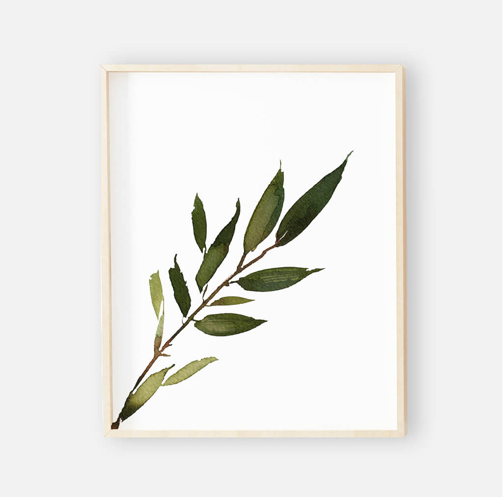  Olive Leaf Digital Nursery Art Print Group、mySite、layawaytickets