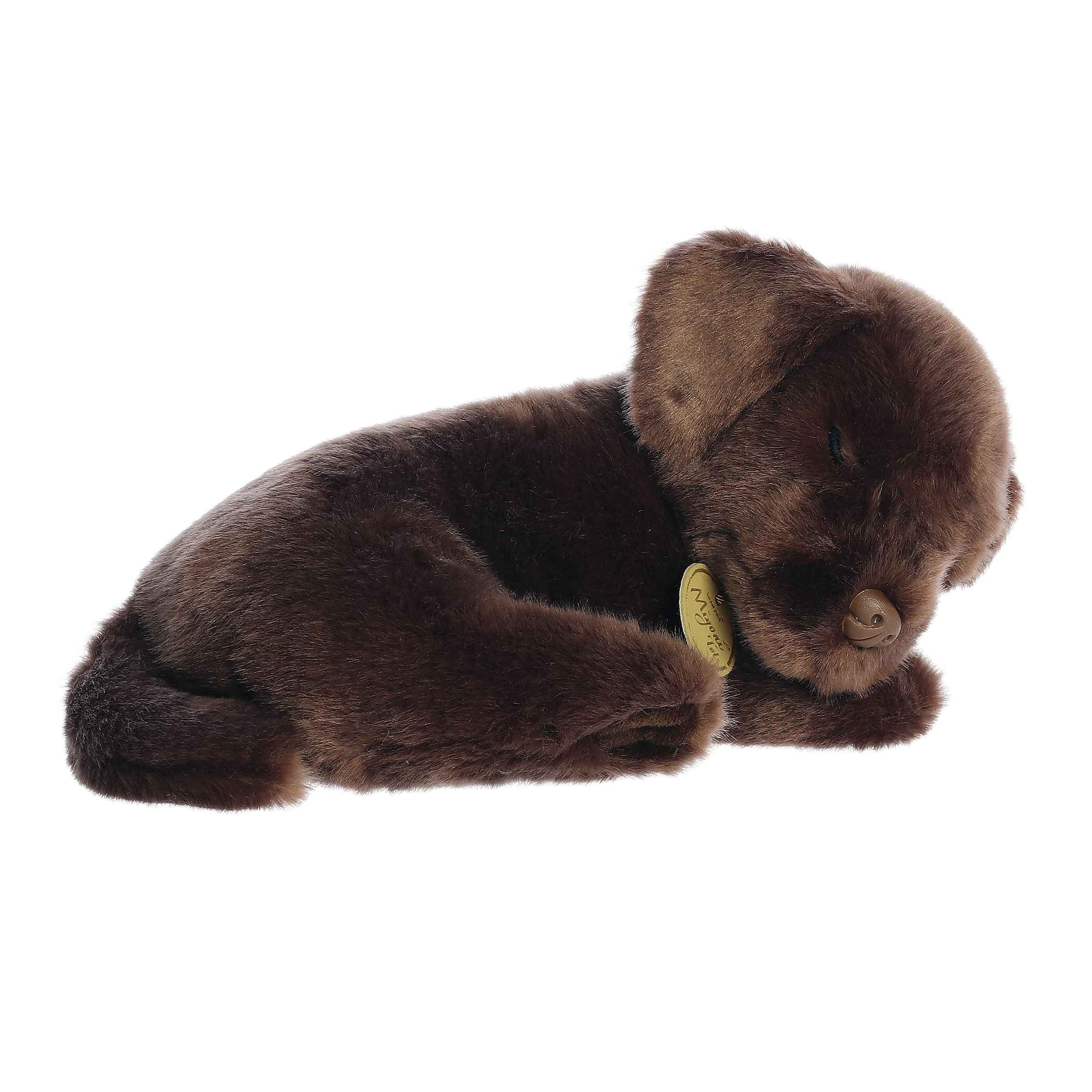 Aurora® - Miyoni® Tots - 10 Sleepy Chocolate Lab Pup、mySite、g9winljtr