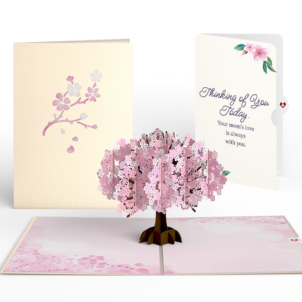 Cherry Blossom Mother's Day Pop-Up Card and Thinking of You Today Sentiment Set、mySite、solidvoid