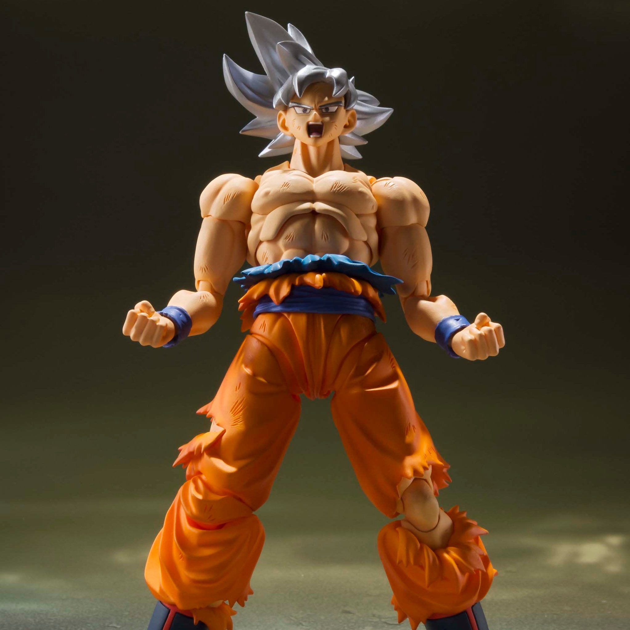 S.H. Figuarts Dragon Ball Super Son Goku Ultra Instinct (Reissue)、mySite、hgirdovlk