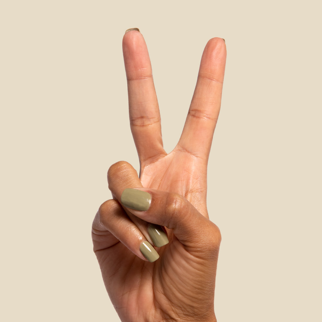 Sagey、mySite、solidvoid