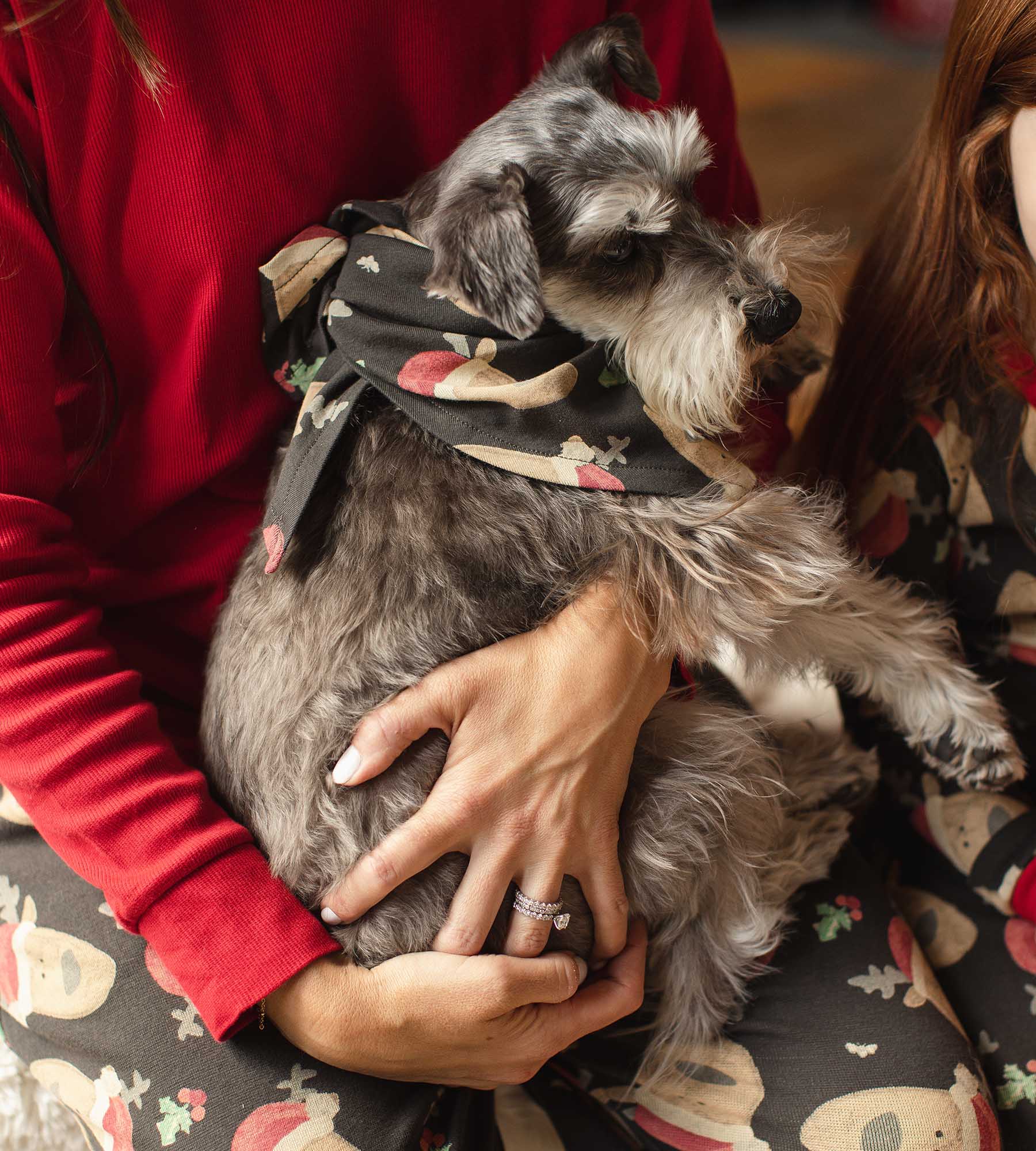 Jolly Reindeer Organic Cotton Women's Pajamas、mySite、g9winljtr