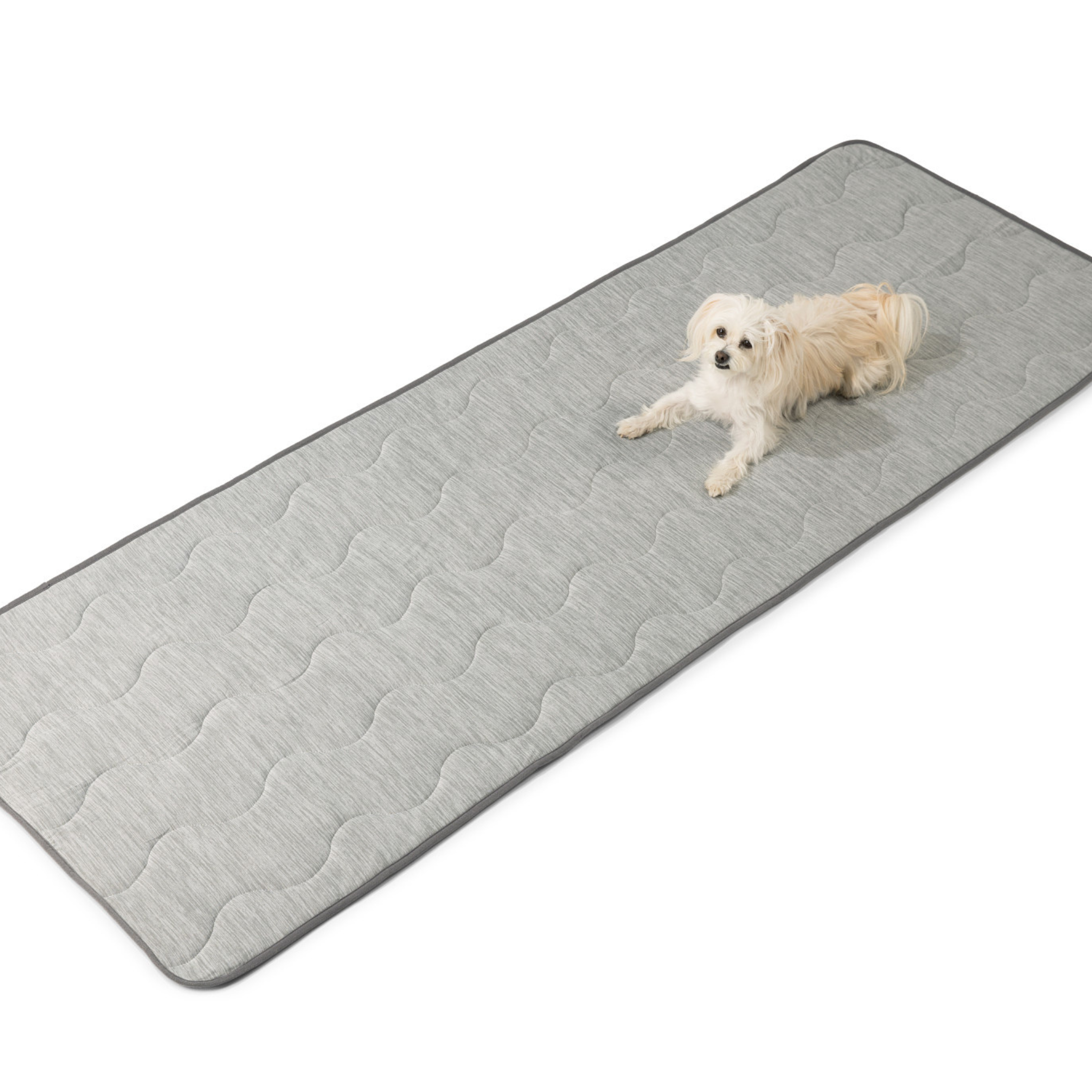 PupChill™ Cooling Waterproof Runner Blanket - Arctic Grey、mySite、solidvoid