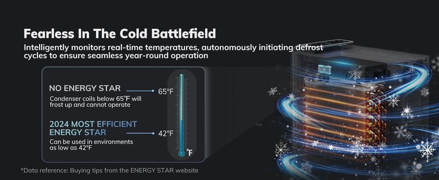 dehumidifier for home
