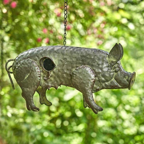 Galvanized Pig Bird House Patio Decor、mySite、g9winljtr