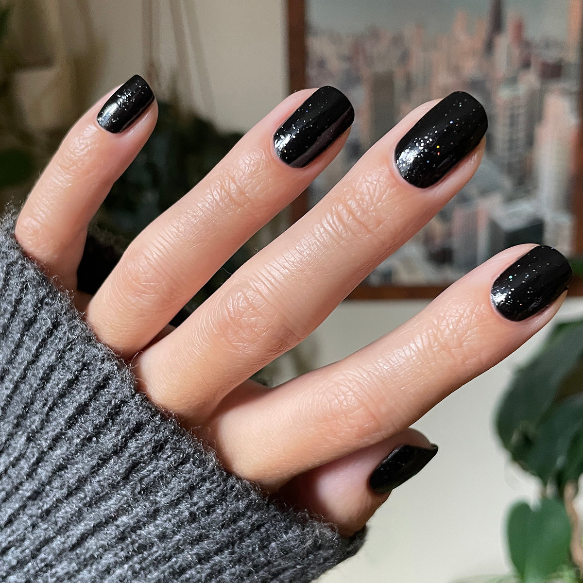 Stargaze、mySite、solidvoid