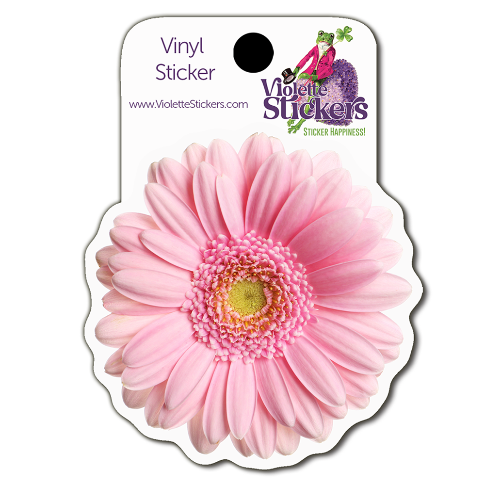  Pink Daisy Vinyl Sticker Decal、mySite、ghnorth