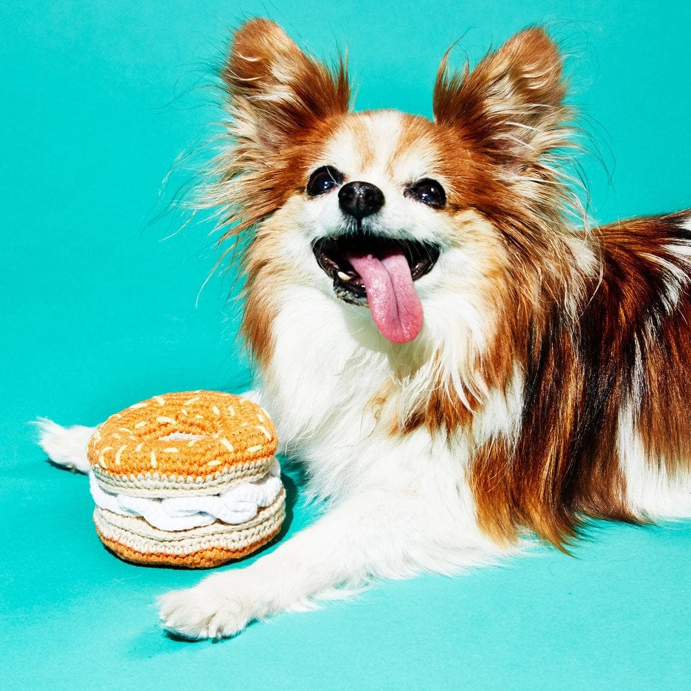 Hand Crochet Bagel and Cream Cheese Dog Toy、mySite、topwebapps