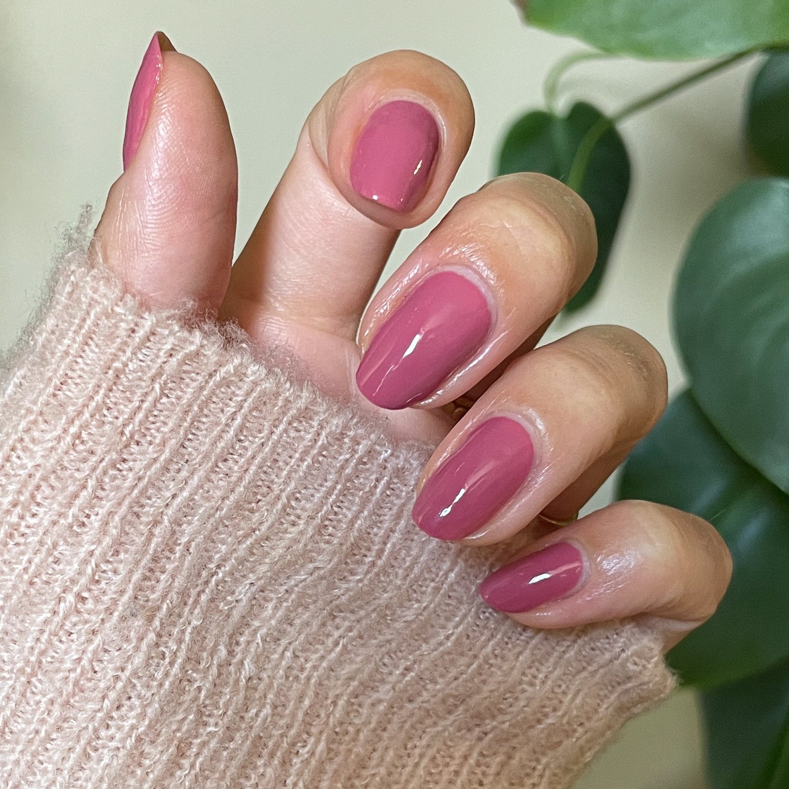 Primrose、mySite、solidvoid