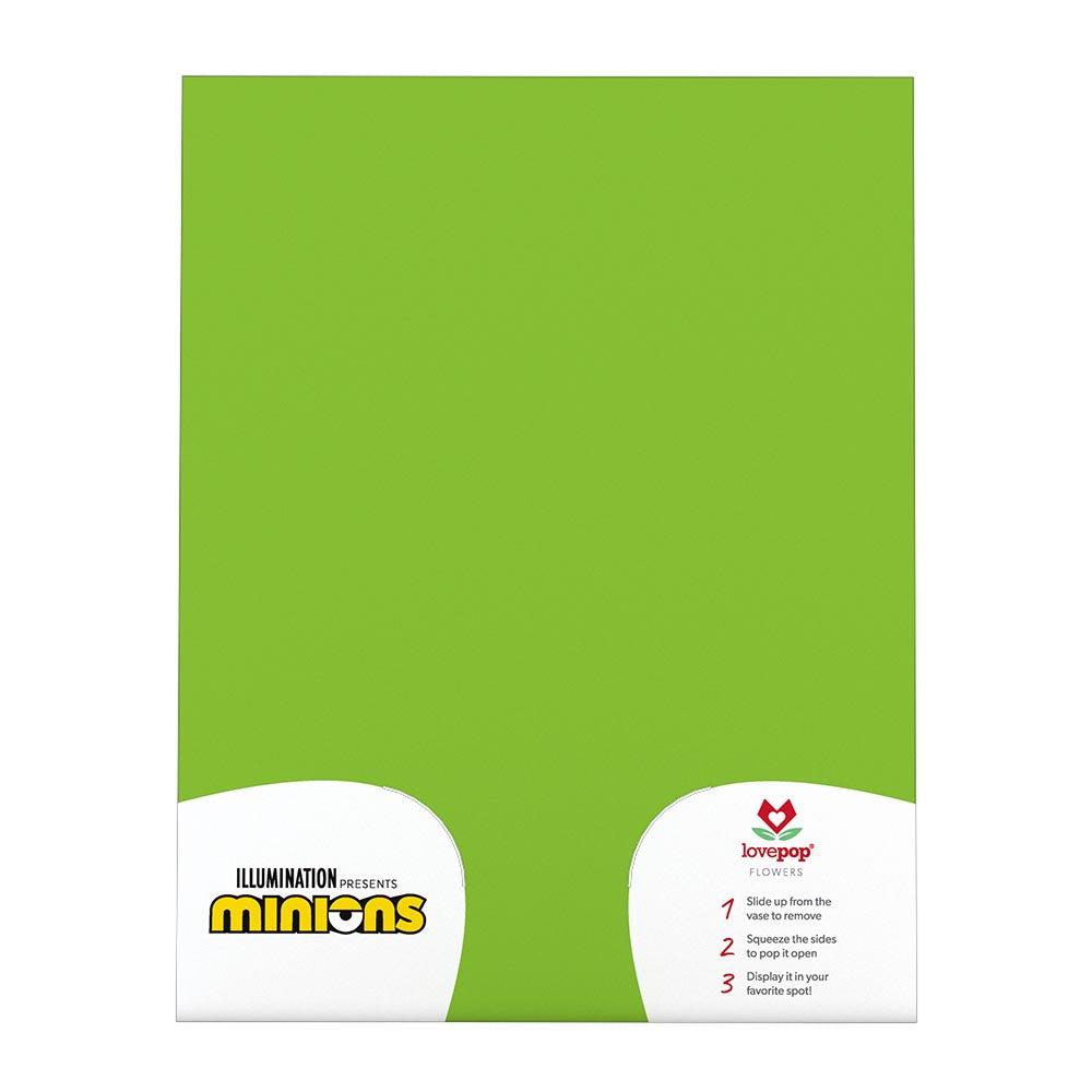 Despicable Me Minions Birthday Balloon Bouquet、mySite、solidvoid