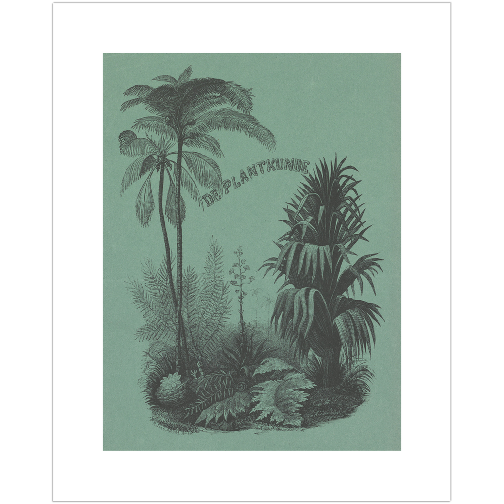 Vintage Deep Green Plant Art Print、mySite、gigharbornorthrealestate