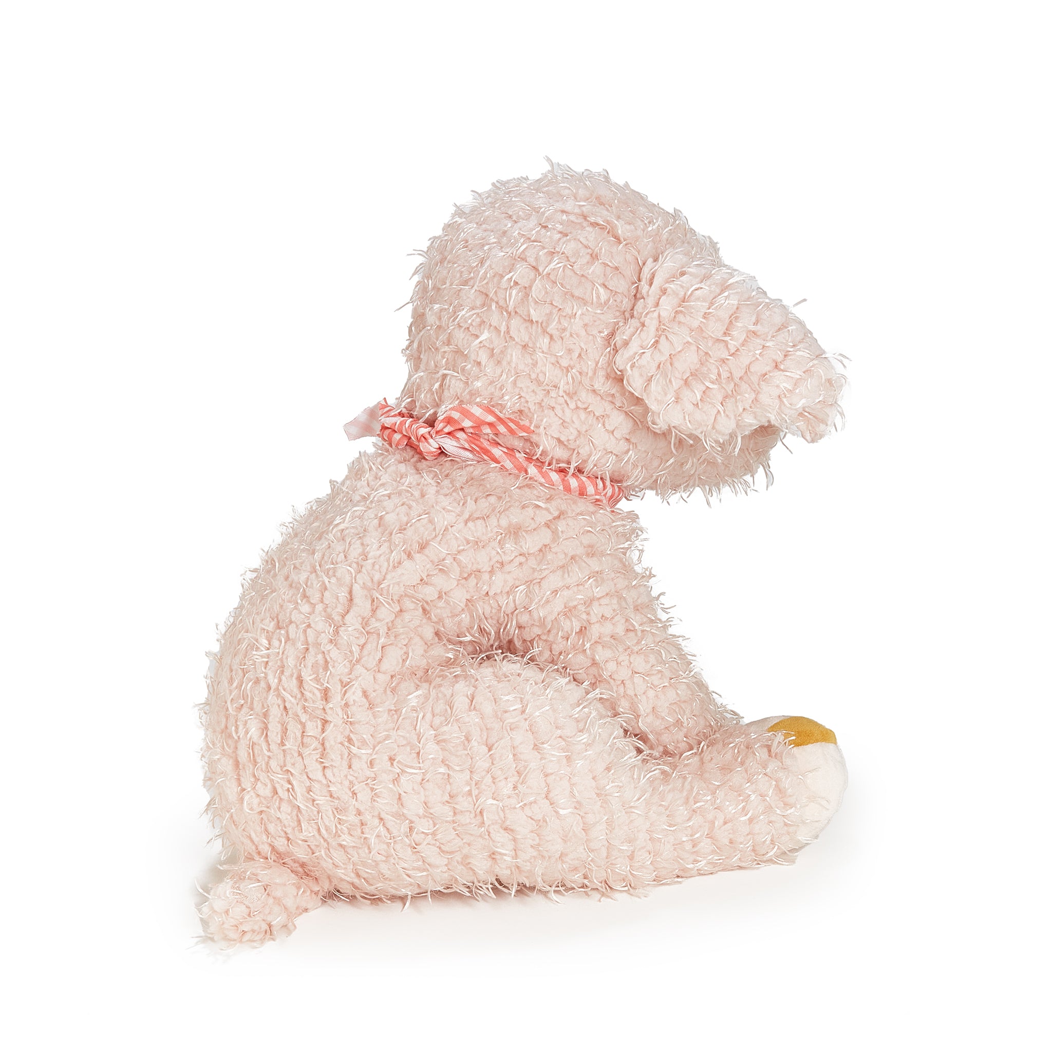 Big Hammie the Pig、mySite、g9winljtr